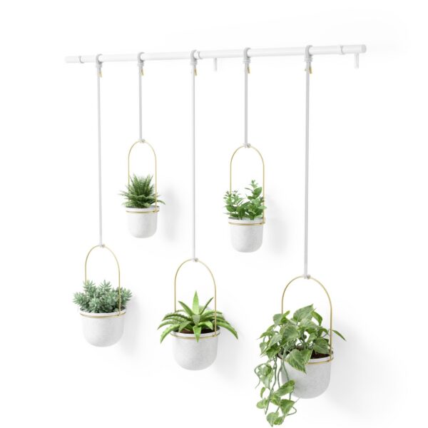 Umbra Triflora Hanging Planter White and Brass Set of 5