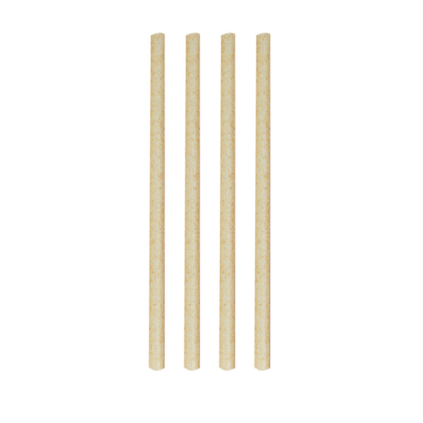 Avanti Sugarcane Cocktail Straws 14cm Set of 50