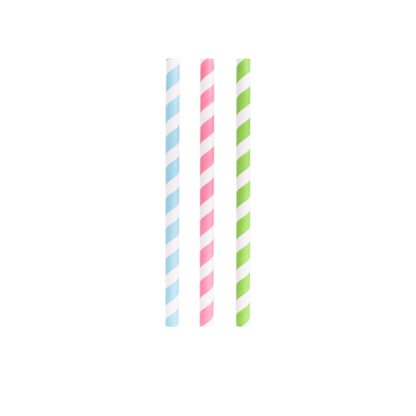Avanti Paper Smoothie Straws Rainbow 23cm Set of 24