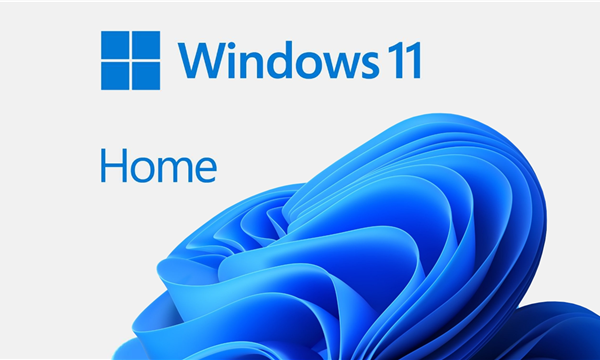 Windows 11 Home 64Bit OEM