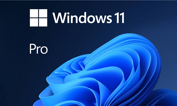 Windows 11 Pro 64Bit OEM