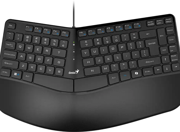Genius Ergonomic Keyboard Ergo KB-700