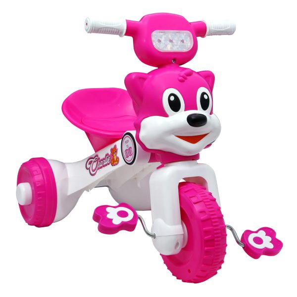 Baby Trike – Charlie Foldable Trike