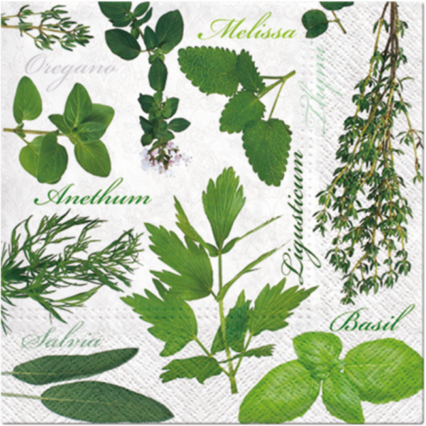 PAW Decor Lunch Napkin Herbal Taste