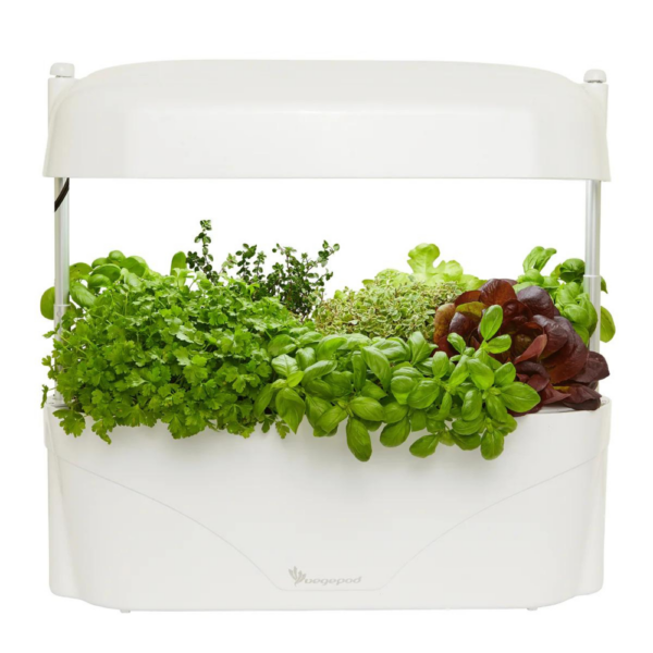 Vegepod Kitchen Garden White