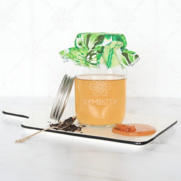 Symbiota Kombucha Complete Kit 1L with Organic SCOBY