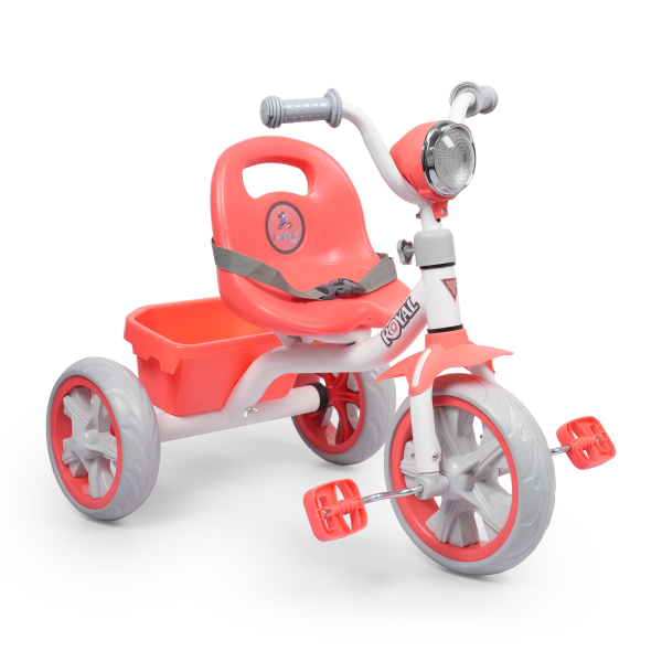 Baby Trike -Royel Dx Trike