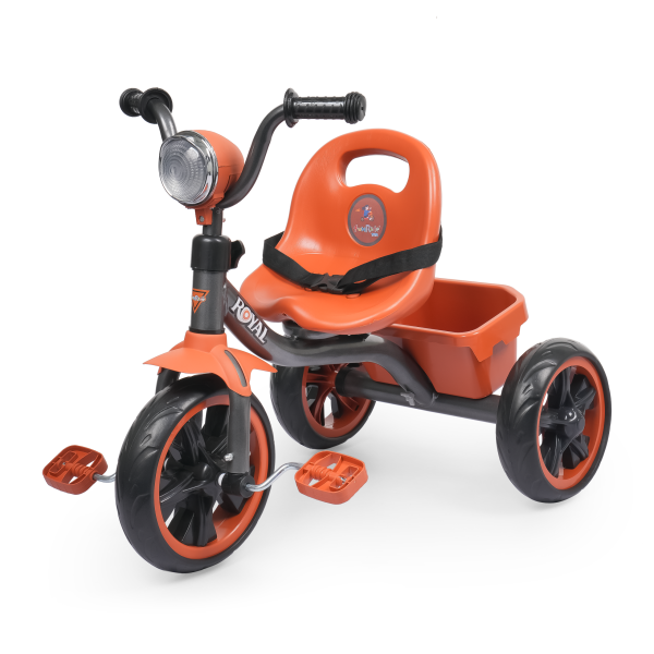 Baby Trike -Royel Dx Trike