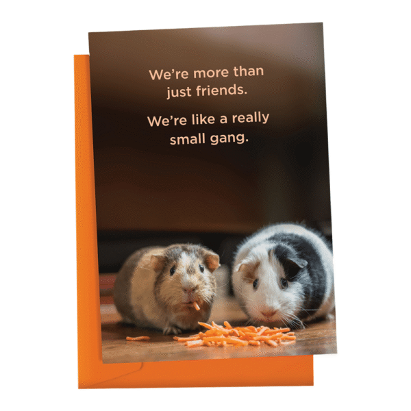 Blackwell Press Small Gang Card