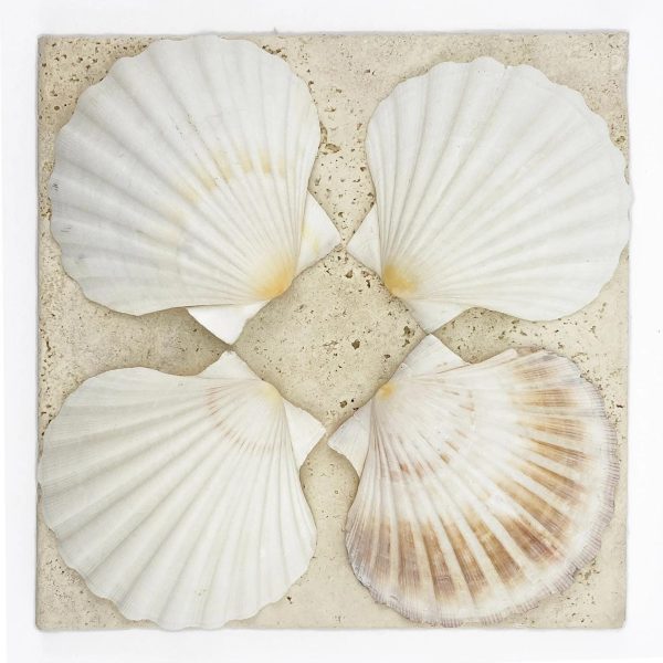 Large White Scallop Shell Half - 95-110mm
