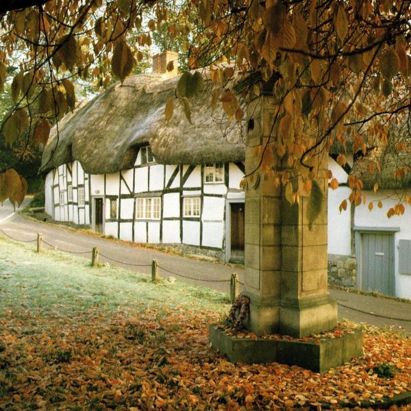 Wherwell and Longstock Vintage 2-Sided Photo Print