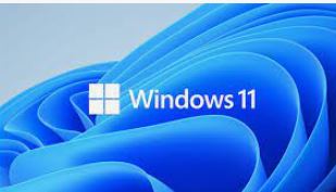 MICROSOFT WINDOWS HOME 11 64BIT ENG INTL 1PK DSP OEI DVD